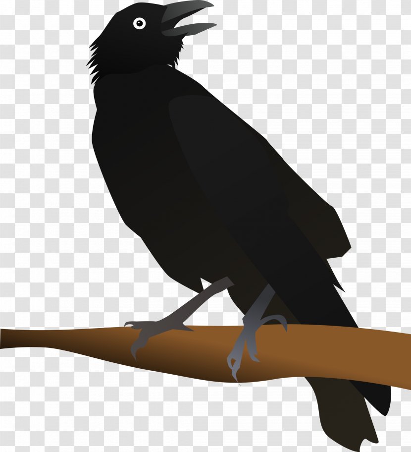 New Caledonian Crow American Clip Art Openclipart - Bird Transparent PNG
