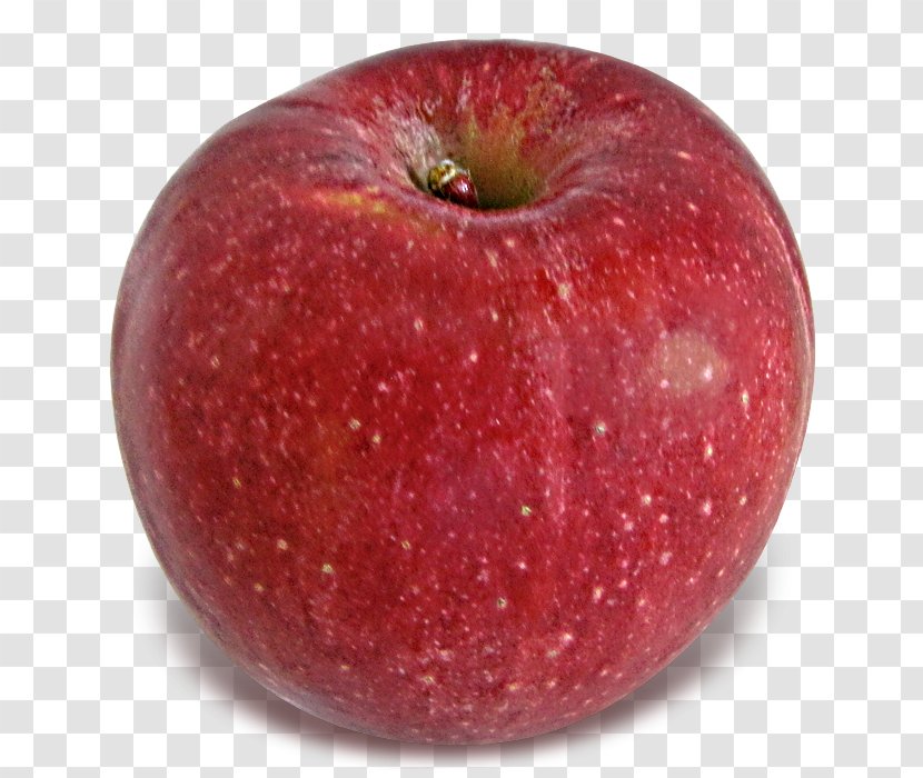McIntosh Red Apple Pie Crisp Stayman Winesap Transparent PNG