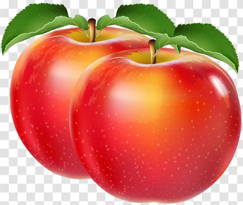 Apple - Auglis - Vector Transparent PNG