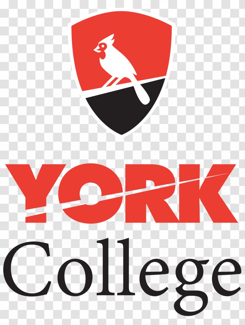 York College, City University Of New College Brooklyn Borough Manhattan Community - School Transparent PNG
