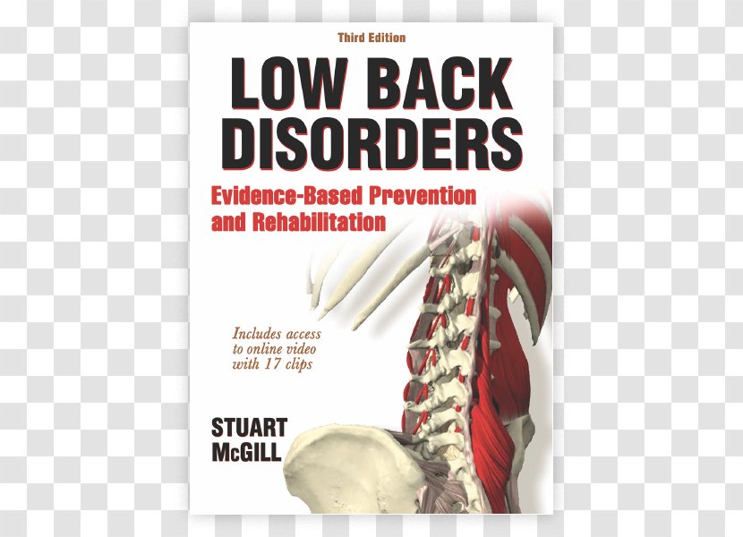Low Back Disorders: Evidence-based Prevention And Rehabilitation Ultimate Fitness Performance Pain In Spine Practice - Human - Third Transparent PNG