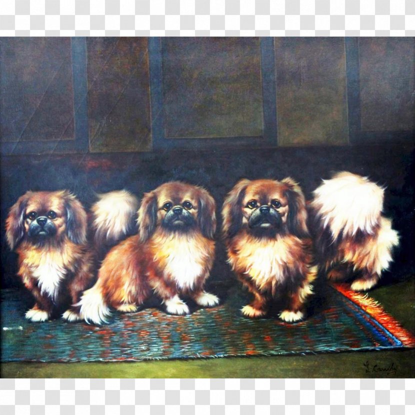 Pekingese Shih Tzu Chinese Imperial Dog Tibetan Spaniel Oil Painting - Toy Transparent PNG