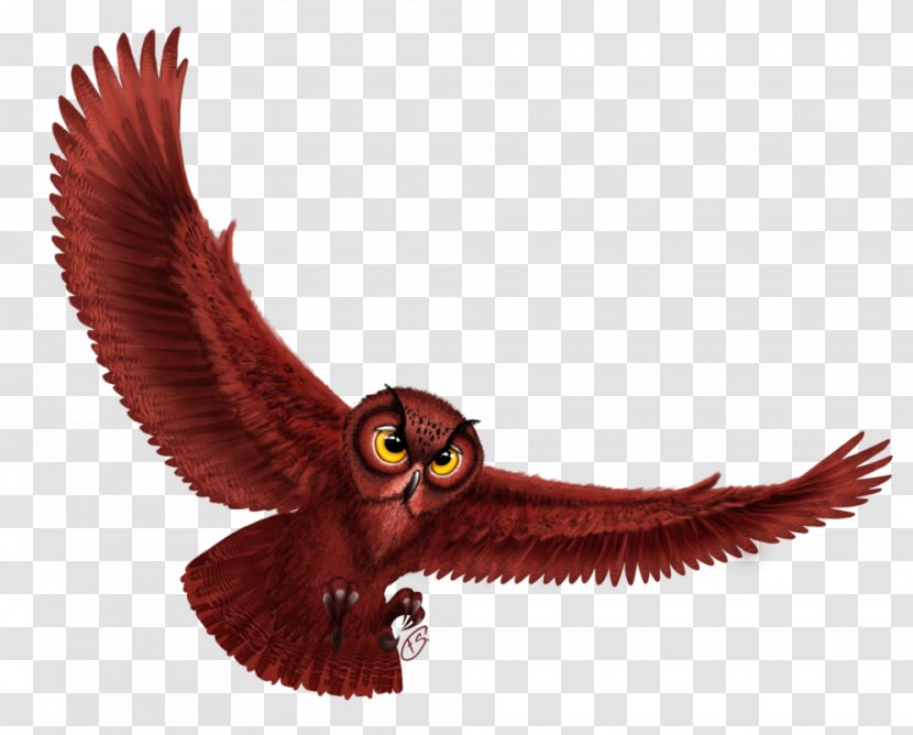 Bird Of Prey Beak Wing Animal - Owl Transparent PNG