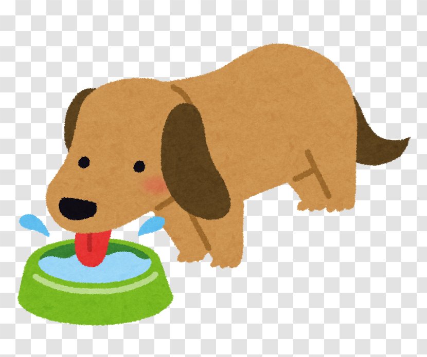 Yorkshire Terrier Drinking Urine Cat Nutrient - Calculus - Water Dog Transparent PNG