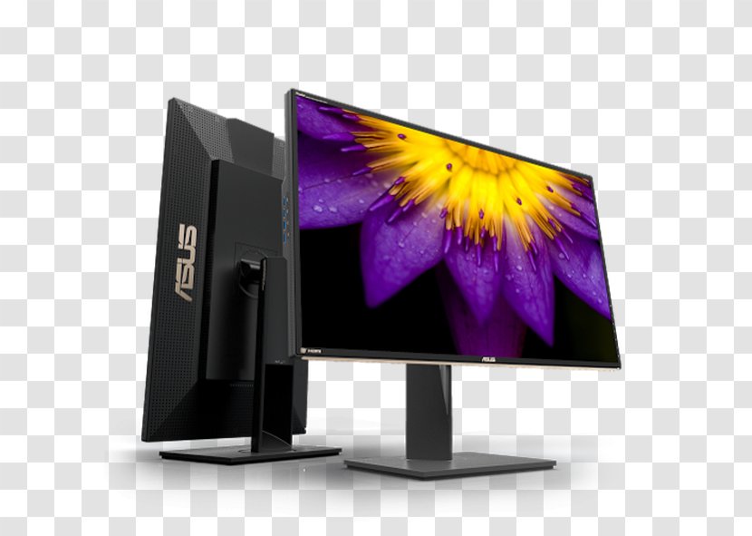 Computer Monitors IPS Panel ASUS PA-9Q 4K Resolution - Flat Display - Ips Transparent PNG