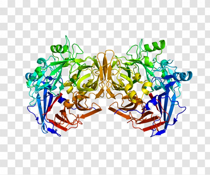 RPE65 Retinal Pigment Epithelium Visual Phototransduction Protein - Silhouette - Therapy Transparent PNG