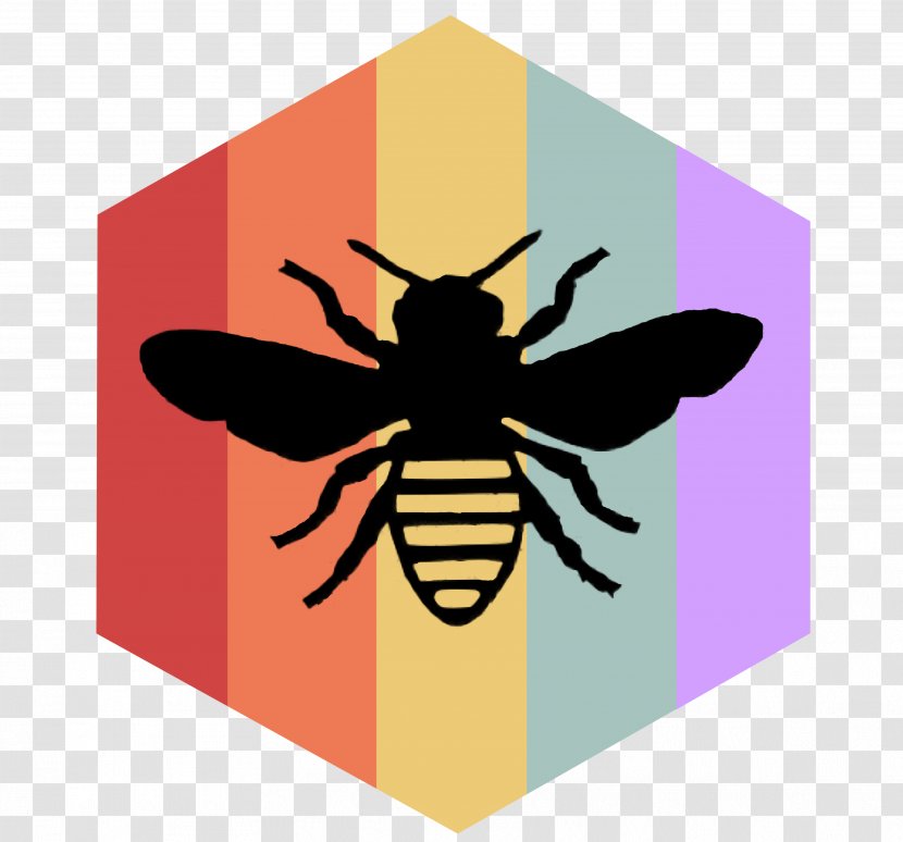 Honey Bee Vector Graphics Clip Art Image - Invertebrate Transparent PNG