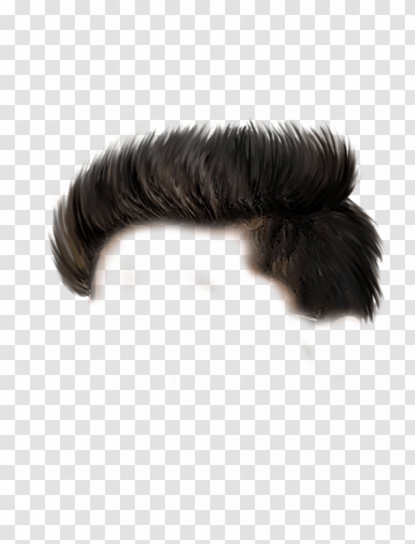 Hairstyle PicsArt Photo Studio Wig - Black Hair Transparent PNG