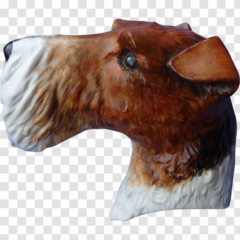 Dog Snout Wood Beak /m/083vt - Fur Transparent PNG