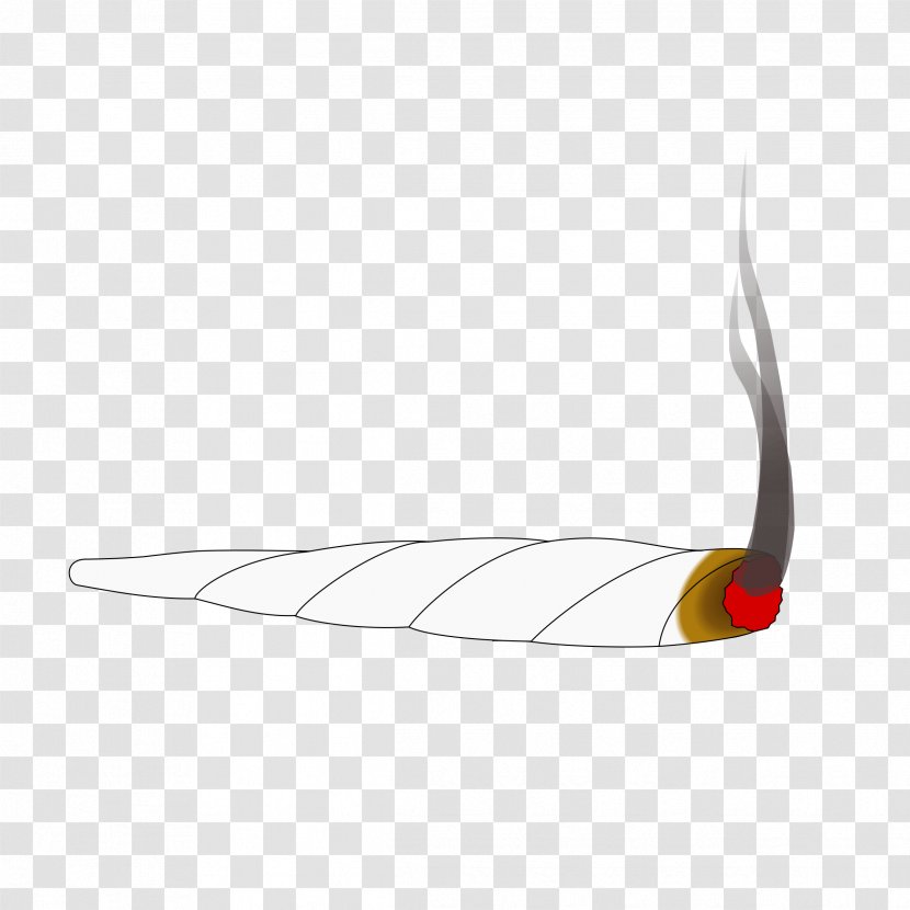 Animal Angle - Wing - Joint Transparent PNG