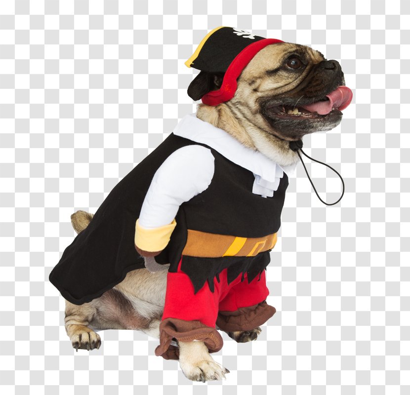 Dog Breed Costume Pug Pet Clothing - Tailcoat - A With Hat Transparent PNG