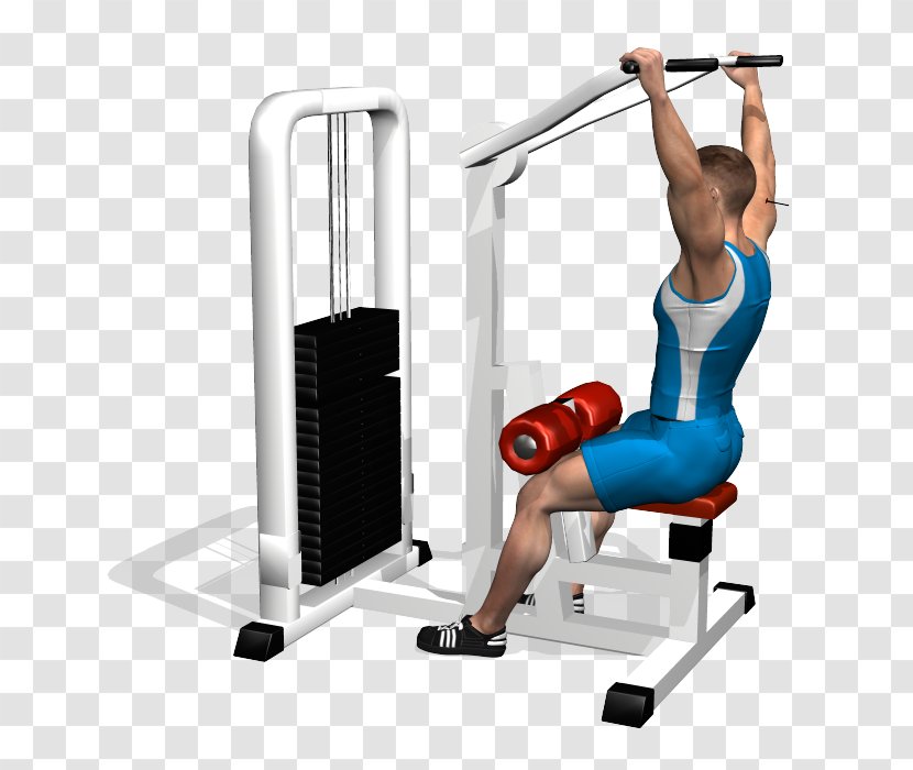 Pulldown Exercise Physical Fitness Shoulder Human Back - Elliptical Trainer - Dumbbell Transparent PNG