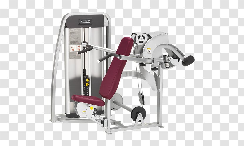 Exercise Equipment Cybex International Strength Training Fitness Centre - Bodybuilding - Weight Machine Transparent PNG