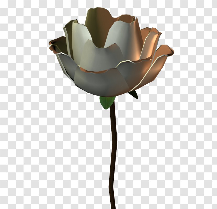 Garden Roses Flowerpot Petal - Rose Transparent PNG