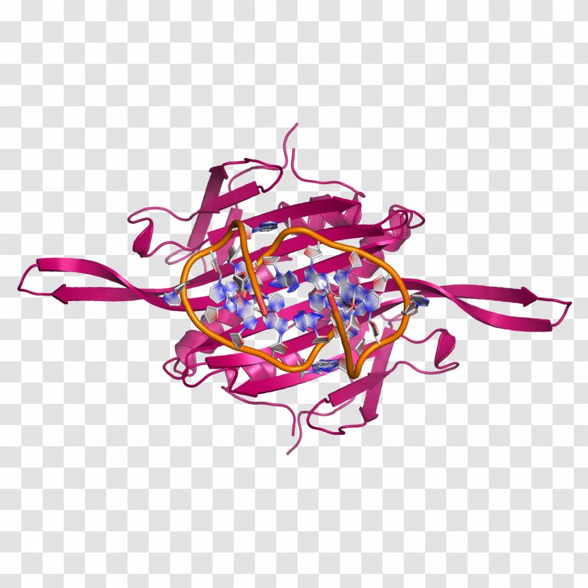Bacteriophage MS2 RNA Phage Therapy Virus - Dimer - Wrought Transparent PNG