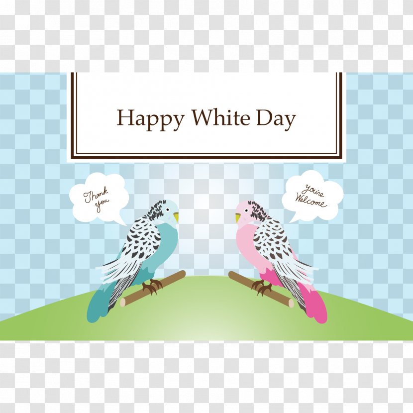 Bird Beak Feather Animal - White Day Transparent PNG