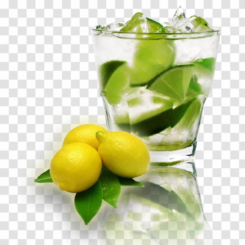 Mojito Cocktail Caipirinha Moscow Mule Bellini - Juice - Lemon Drink Transparent PNG