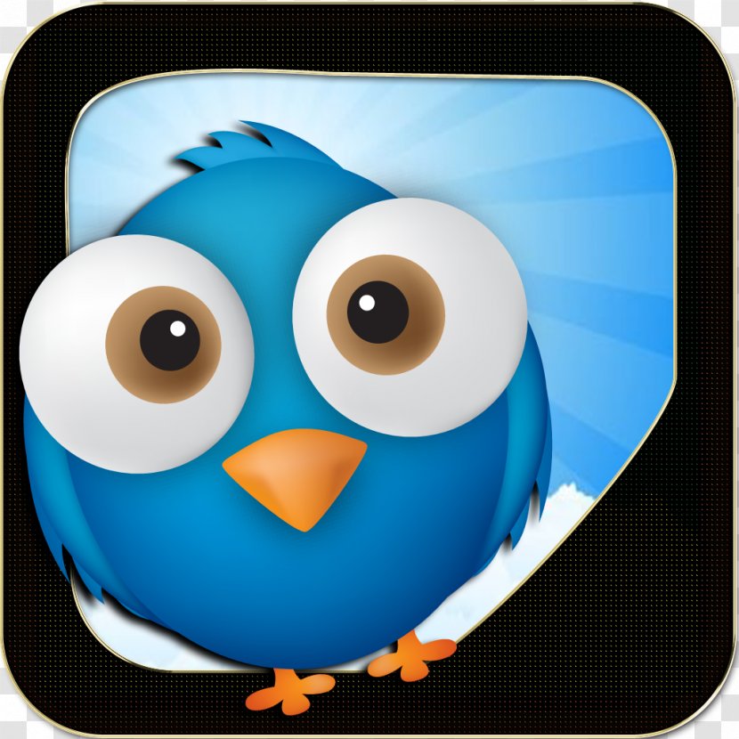 Owl Flightless Bird Beak Microsoft Azure Transparent PNG