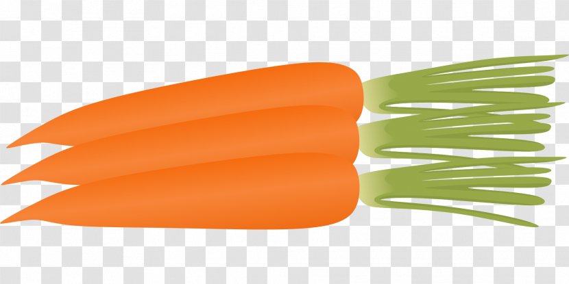 Clip Art Carrot Vector Graphics Vegetable - Root Vegetables Transparent PNG