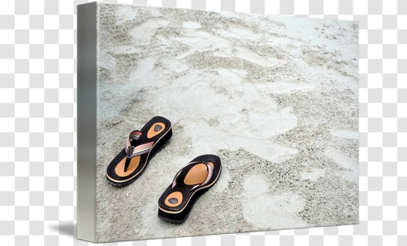 Flip-flops Brand Shoe - Sandal - Beach Slippers Transparent PNG