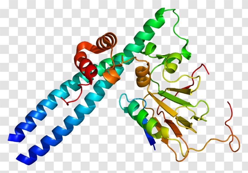 E2F1 Transcription Factor Retinoblastoma Protein - Tumor Suppressor Gene - Mito Class Transparent PNG