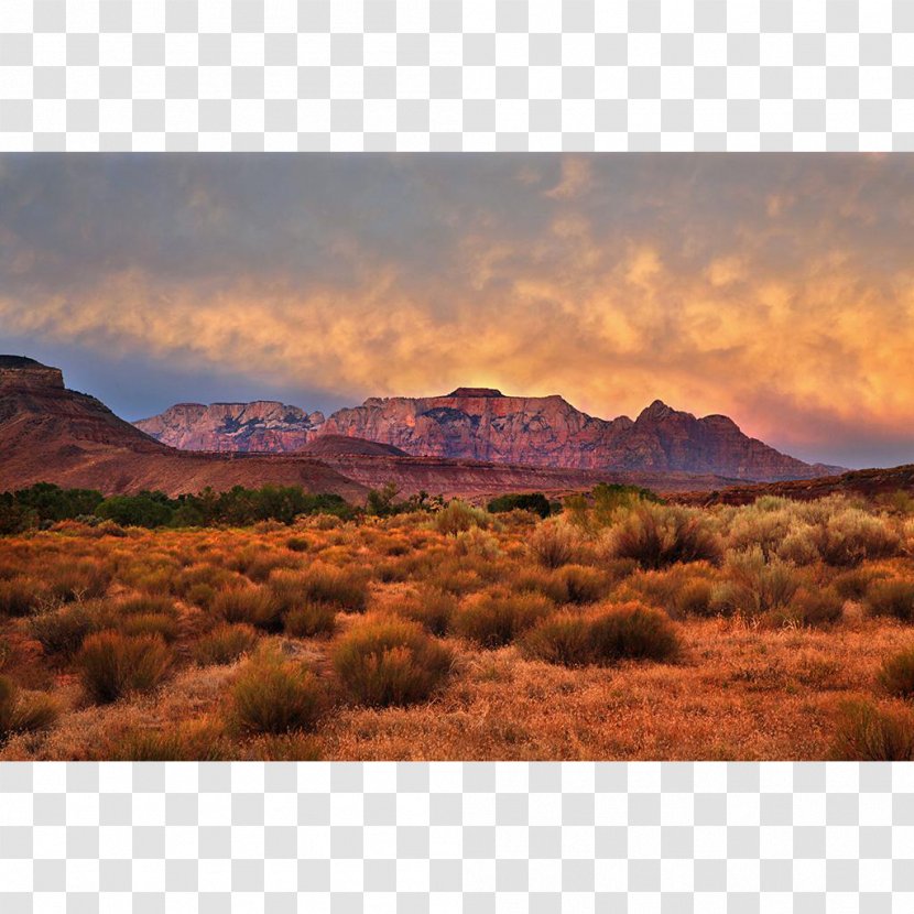 Tundra Steppe Shrubland National Park - Panorama Transparent PNG