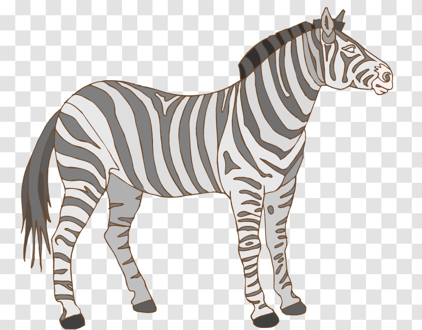 Zebra Wildlife Clip Art - Printing Clipart Transparent PNG