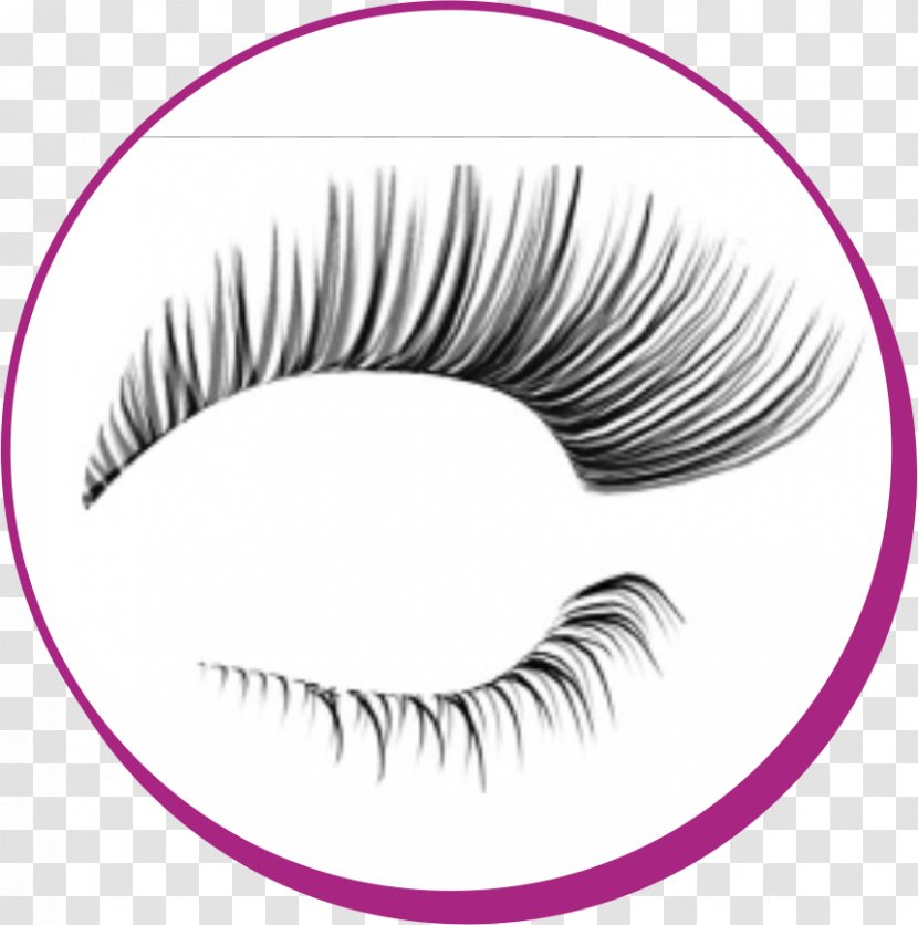 Eyelash Extensions Cosmetics Mascara - Frame - Steril Transparent PNG
