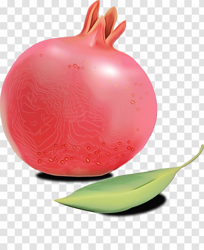 Pink Fruit Plant Radish Vegetable - Magenta Food Transparent PNG