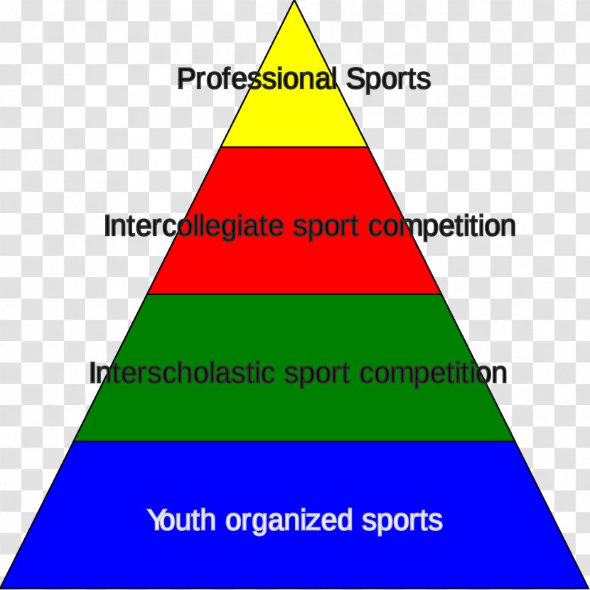 Student Athlete Sport College Athletics - Education - SPORT STATISTICS Transparent PNG