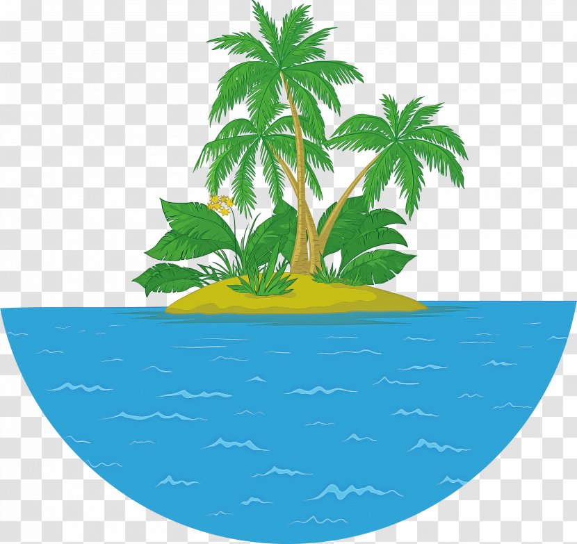 Leaf Plant Tree Plate Tropics Transparent PNG