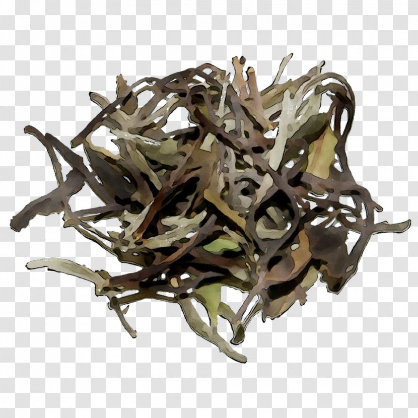 Baihao Yinzhen Golden Monkey Tea Nilgiri Kombu - Audi Q7 - Junshan Transparent PNG