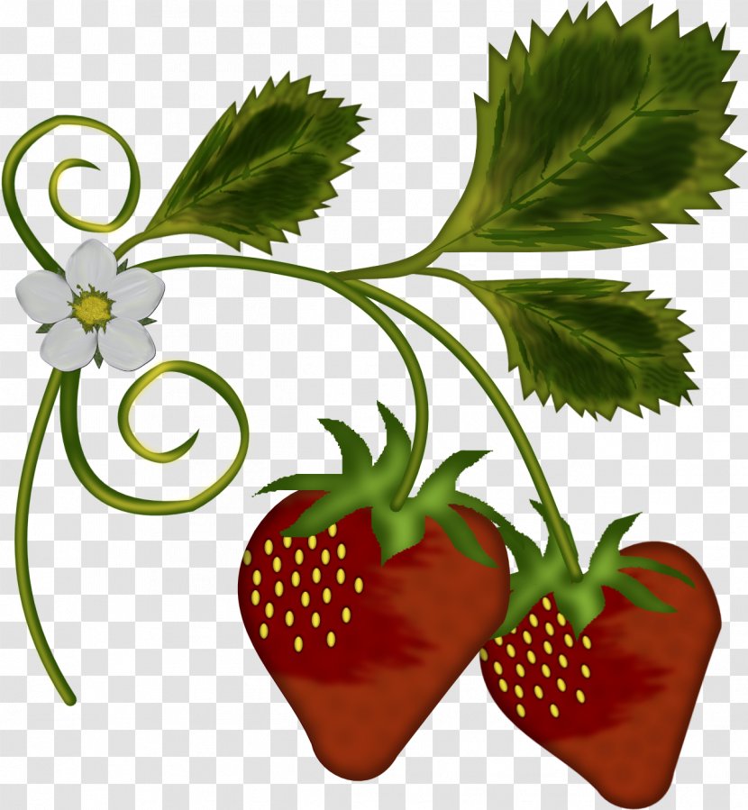 Strawberry Shortcake Charlotte - Tree Transparent PNG