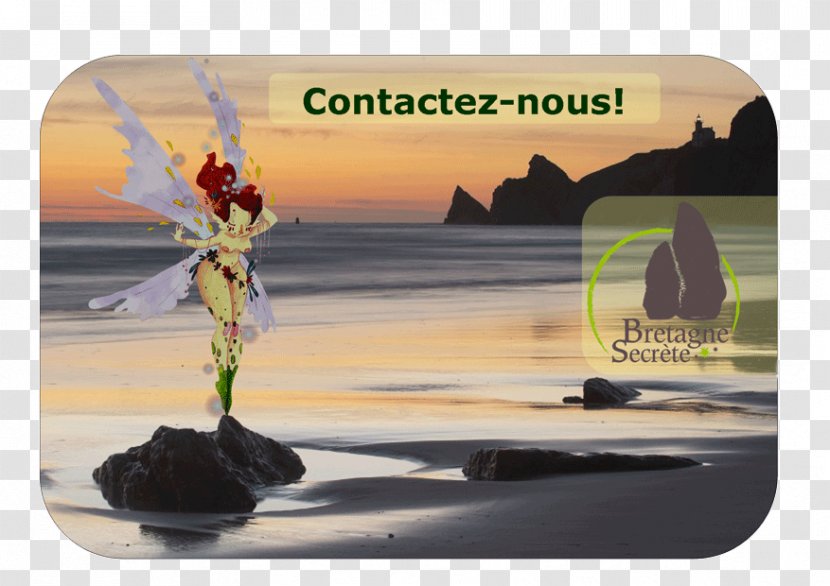 Houat Paimpol Bretagne Secrète, Agence De Voyage Réceptive Travel Agent Transparent PNG