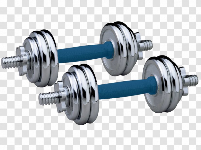 Dumbbell Barbell Olympic Weightlifting Weight Training Kettlebell - Auto Part - Weights Transparent PNG