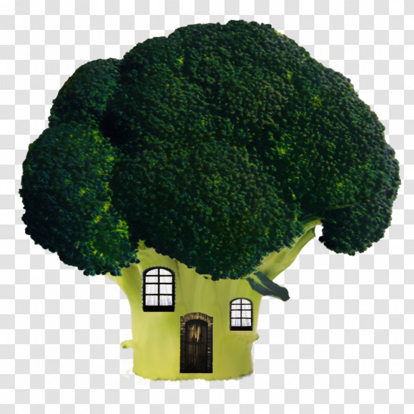 Broccoli House Window Vegetable Cauliflower Transparent PNG
