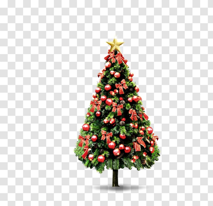 Pxe8re Noxebl Santa Claus Christmas Tree Decoration - Spruce Transparent PNG