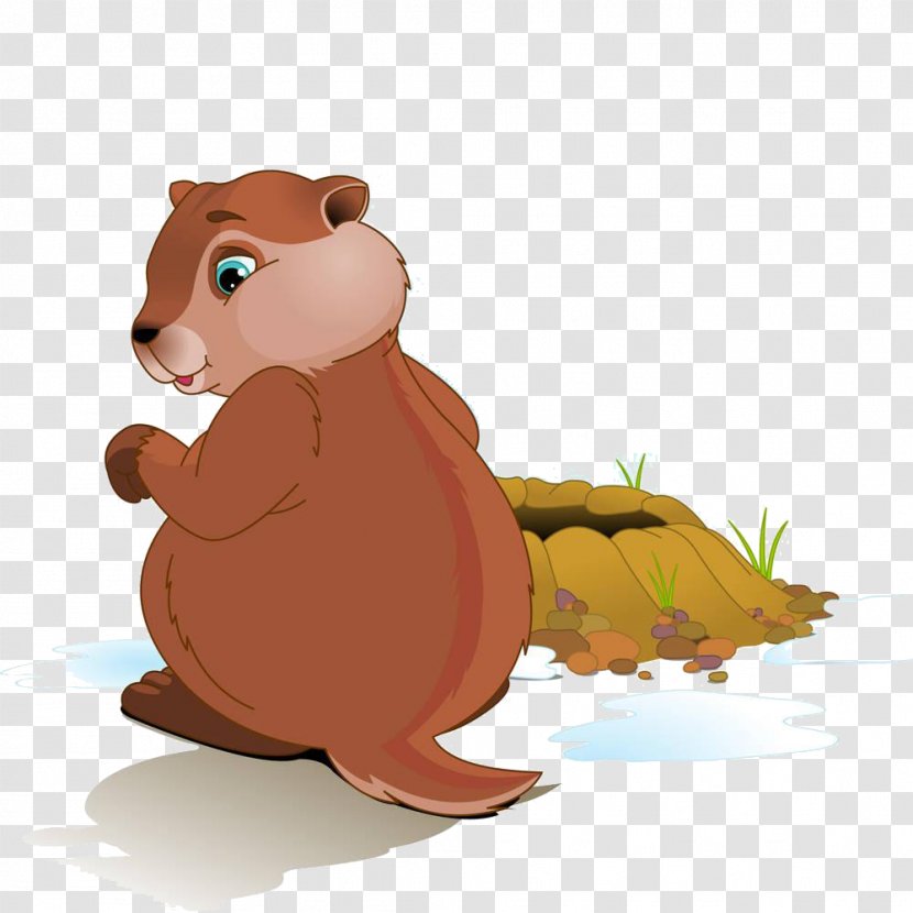 Groundhog Day Stock Photography Clip Art - Tree - Cartoon Bear Material Transparent PNG