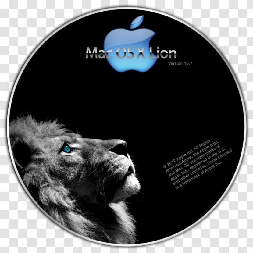 Lion Desktop Wallpaper Facebook - Photography Transparent PNG