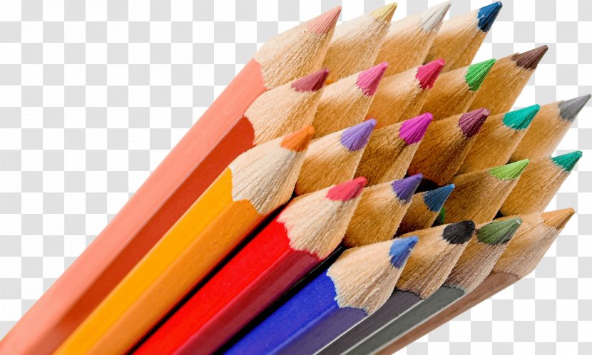 Colored Pencil Clip Art - Color - Pencils Transparent PNG