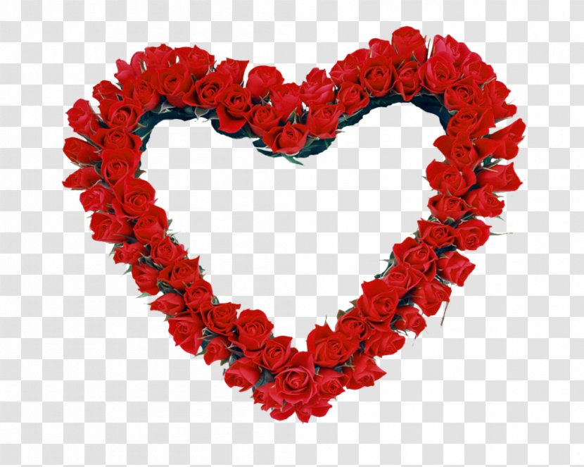 Picture Frames Rose Heart Clip Art - Garden Roses - HEART FLOWER Transparent PNG