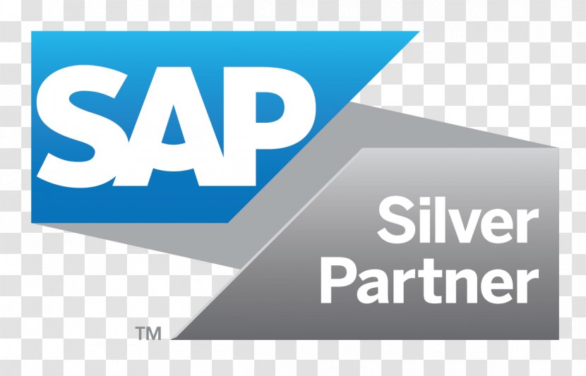 SAP SE Partnership Business ERP Consultant - Process Transparent PNG