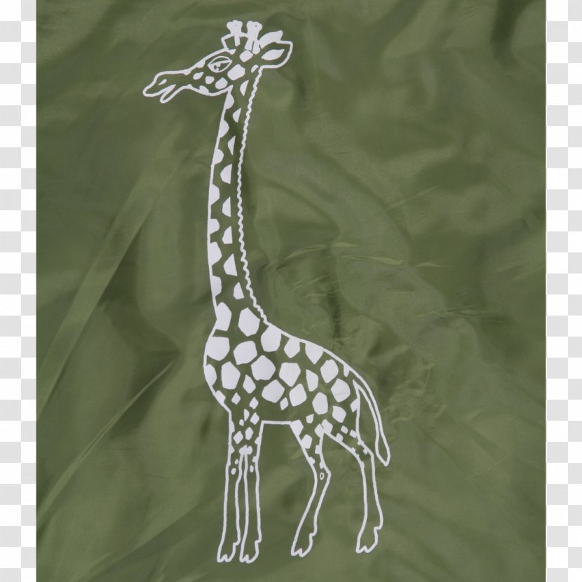 Giraffe Massachusetts Institute Of Technology Neck Terrestrial Animal Wildlife - Organism - Watercolor Transparent PNG