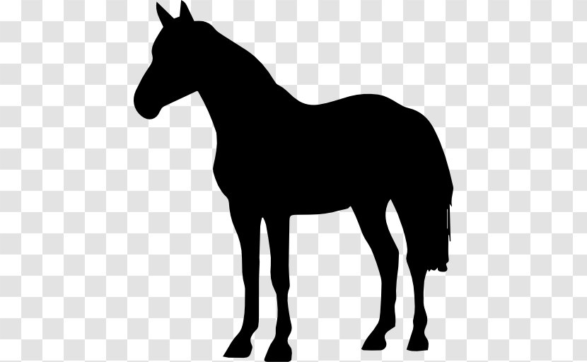 Arabian Horse American Quarter Black Forest Friesian Paint - Tack - Silhouette Transparent PNG
