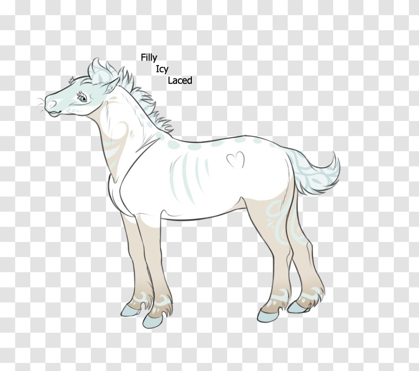 Mule Foal Halter Stallion Colt - Pony - Mustang Transparent PNG