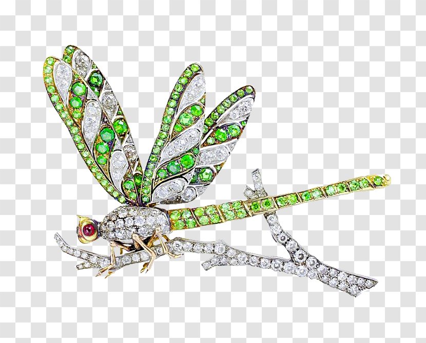 Insect Jewellery Brooch Dragonfly Plique-à-jour Transparent PNG