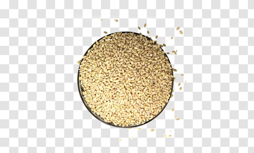 Barley Cereal Germ Rice Transparent PNG