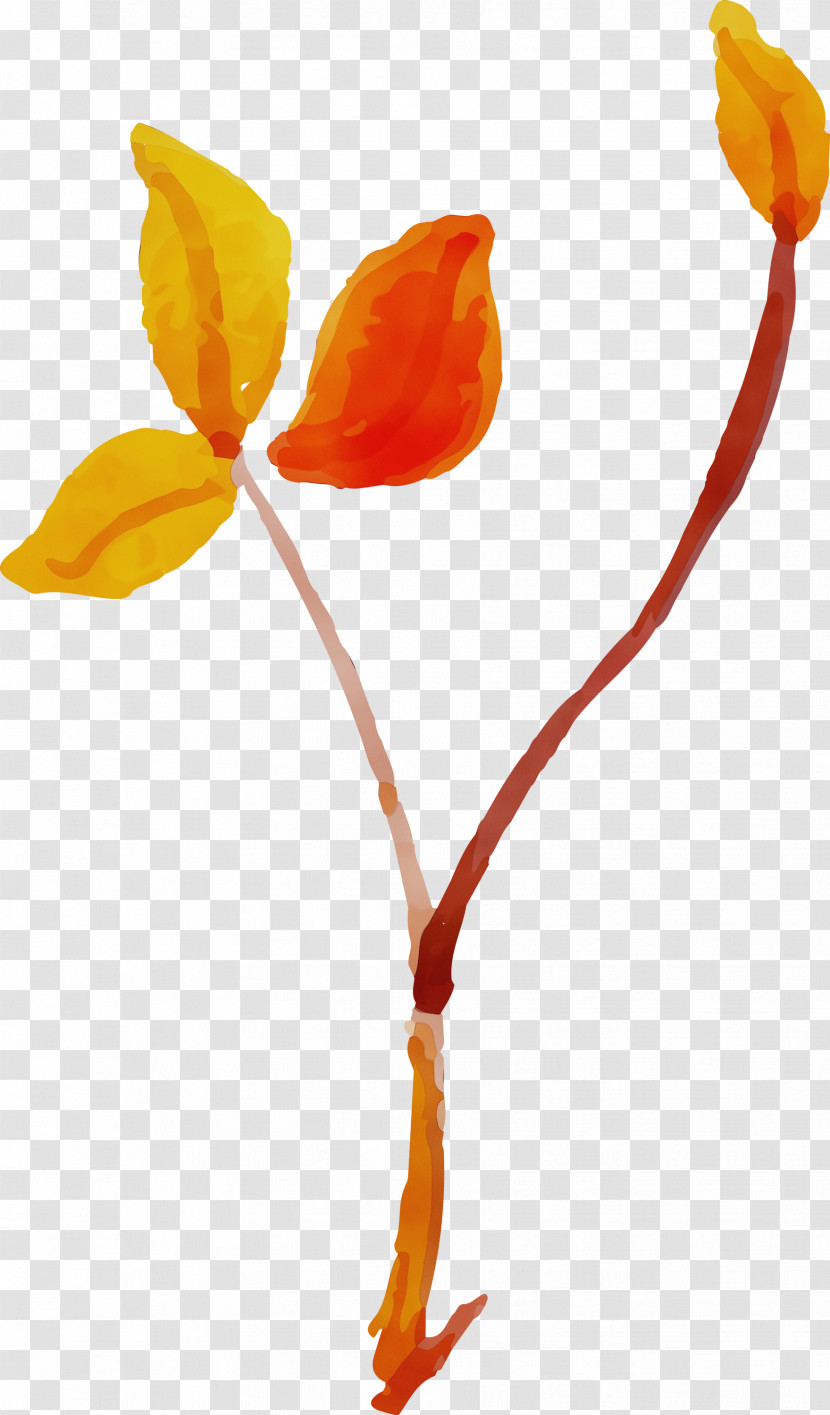 Plant Stem Petal Leaf Flower Plants Transparent PNG