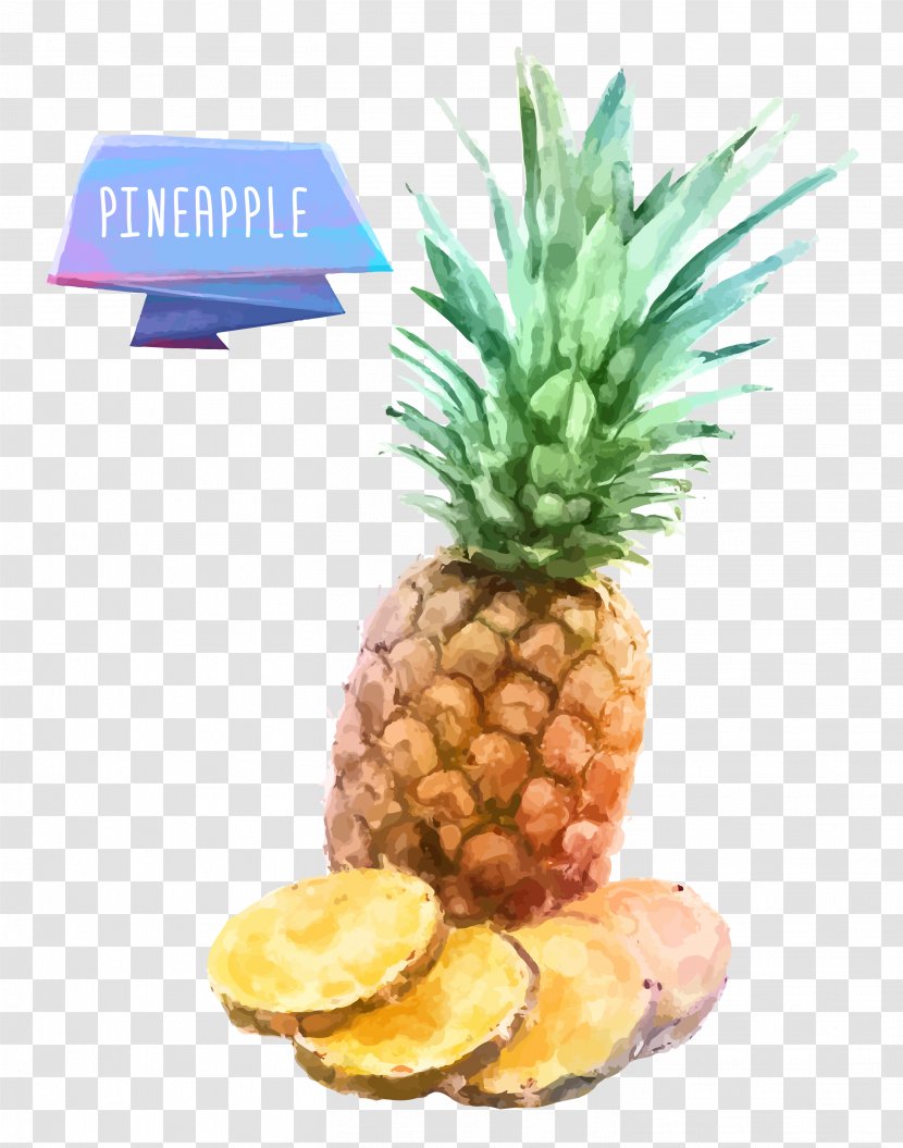 Fruit INGE S.p.A Drawing Watercolor Painting - Creative Market - Pineapple Transparent PNG