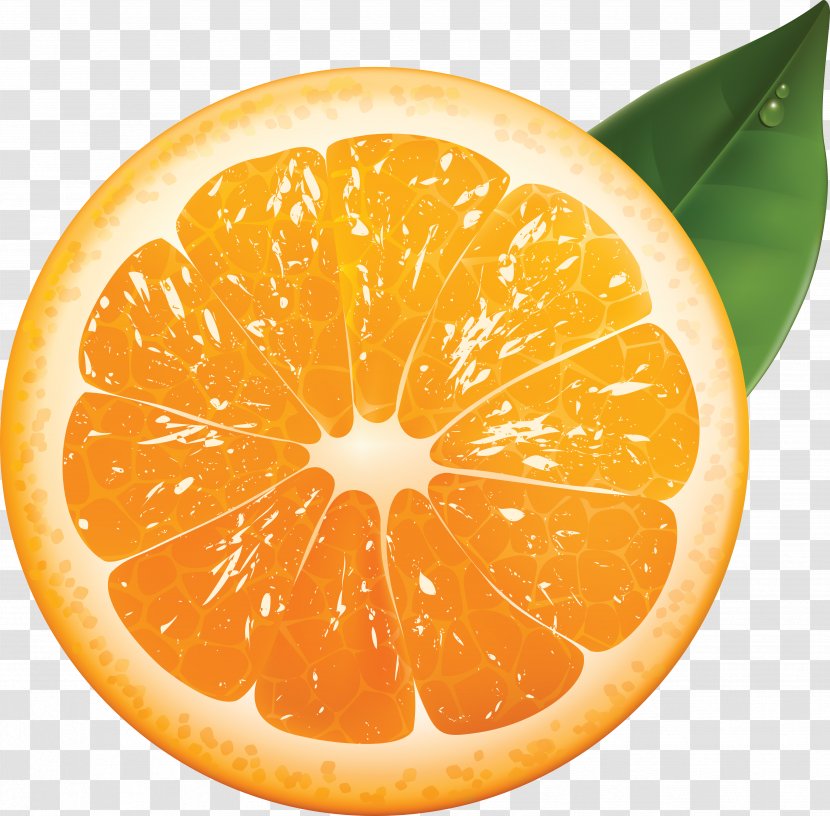 Orange Juice Tangerine Mandarin - Paint Transparent PNG